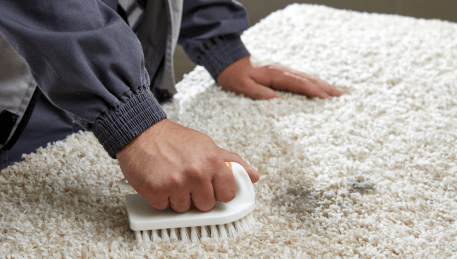 Professional Rug Cleaning Yarraville